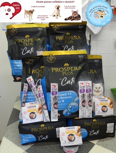 Městský útulek pro toulavá a opuštěná zvířata